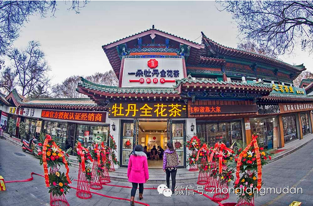 一朵牡丹全花茶王城公园体验店在元旦开业啦！