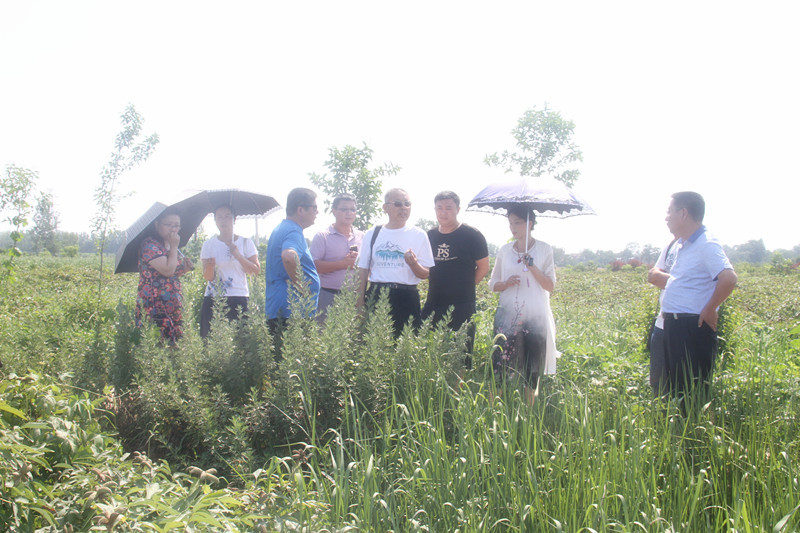 天津市蓟州区林业局一行到众芳牡丹集团参观考察